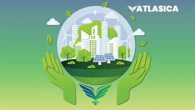 Sustainability Auditing Services