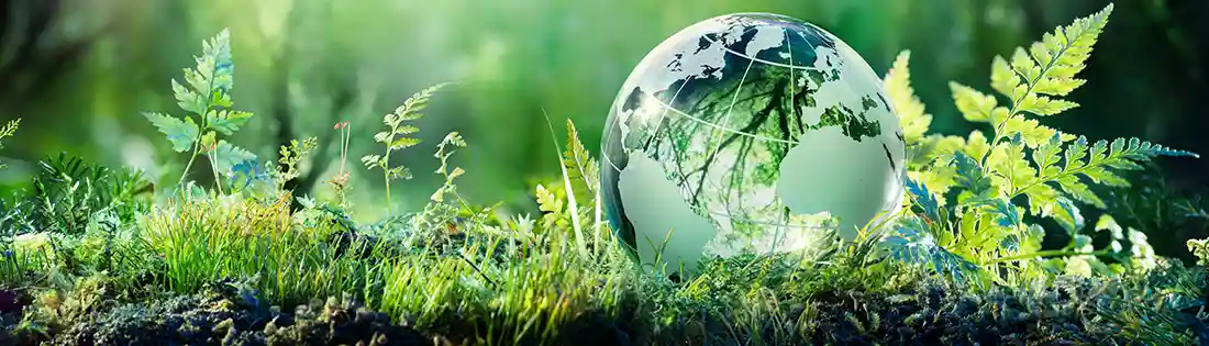 Sustainability Practices and Policy